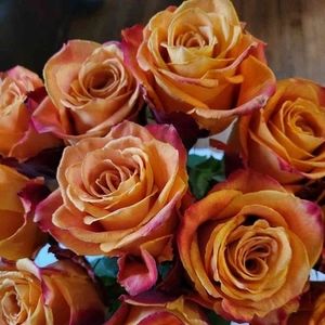 Meet your Posher, Daniela